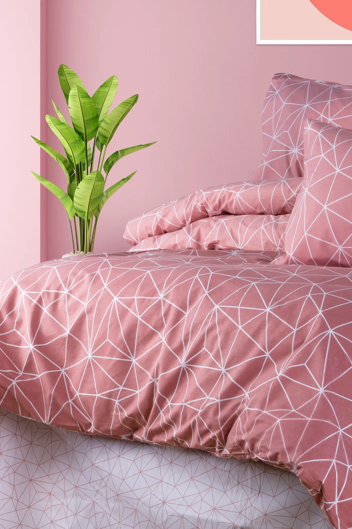 Aytunç Mavera %100 Pamuklu Tek Kişilik Lastikli (Fitted) Nevresim Takımı Pudra 160x220 cm